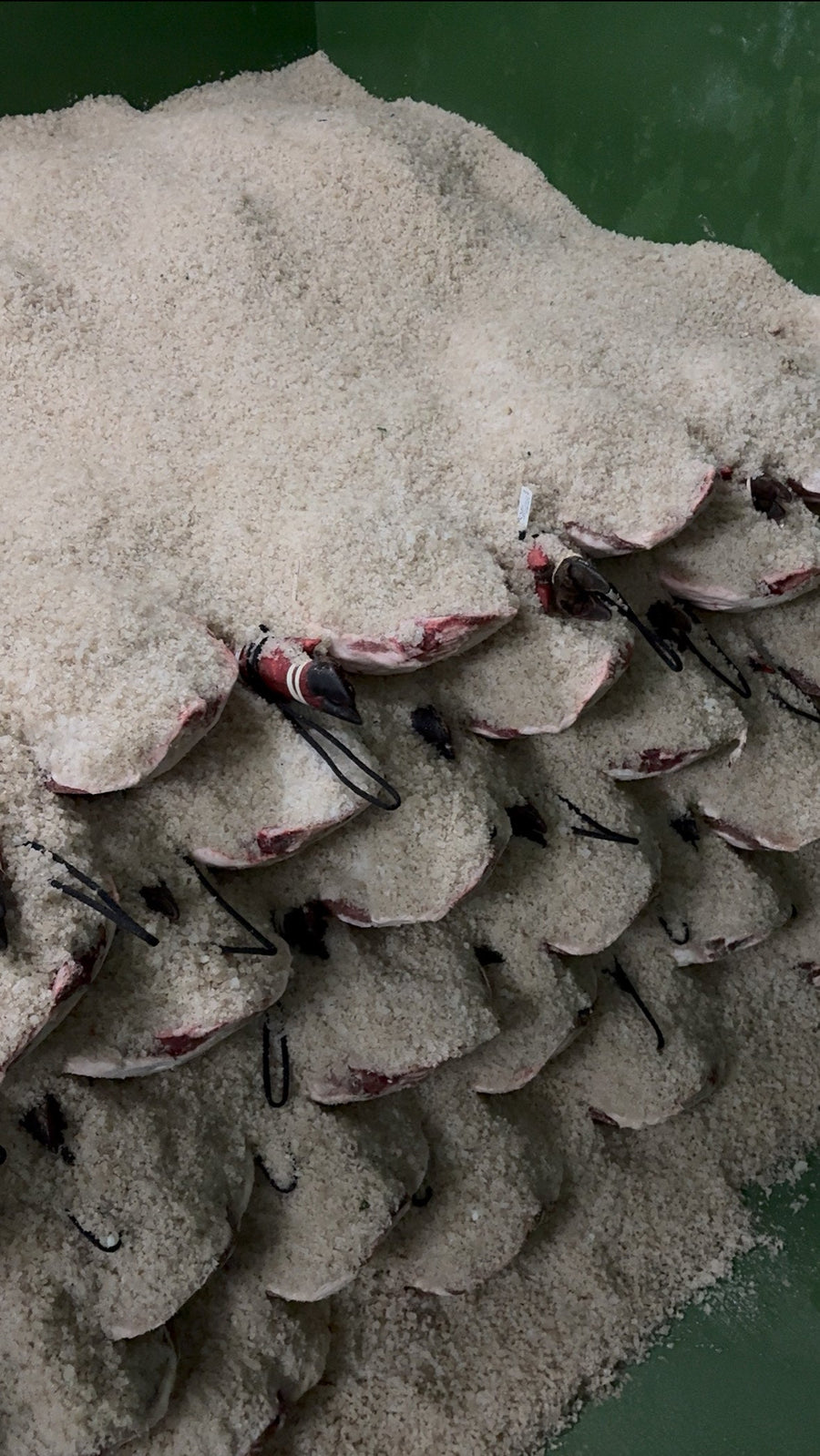 El periodo en sal: cómo influye en el sabor del jamón ibérico