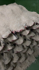 El periodo en sal: cómo influye en el sabor del jamón ibérico